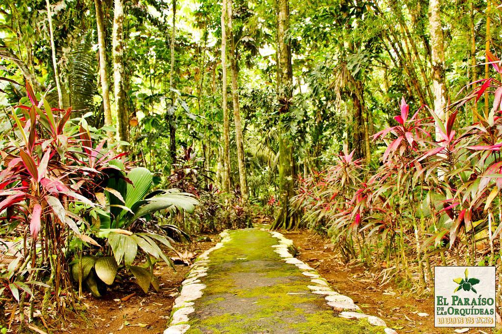Hosteria El Paraiso De Las Orquideas Archidona Extérieur photo