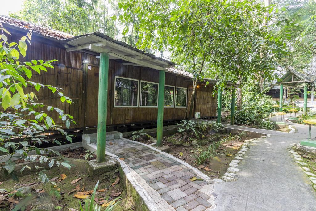 Hosteria El Paraiso De Las Orquideas Archidona Extérieur photo